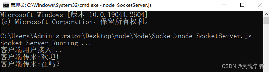 Node实现 Socket 通信