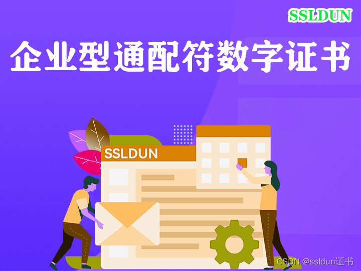 杭州企业型通配符SSL数字证书