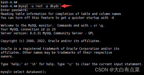 连接MySQL时指定数据库，如 dbydc 数据库