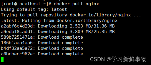 Linux下 Docker容器引擎基础(1)