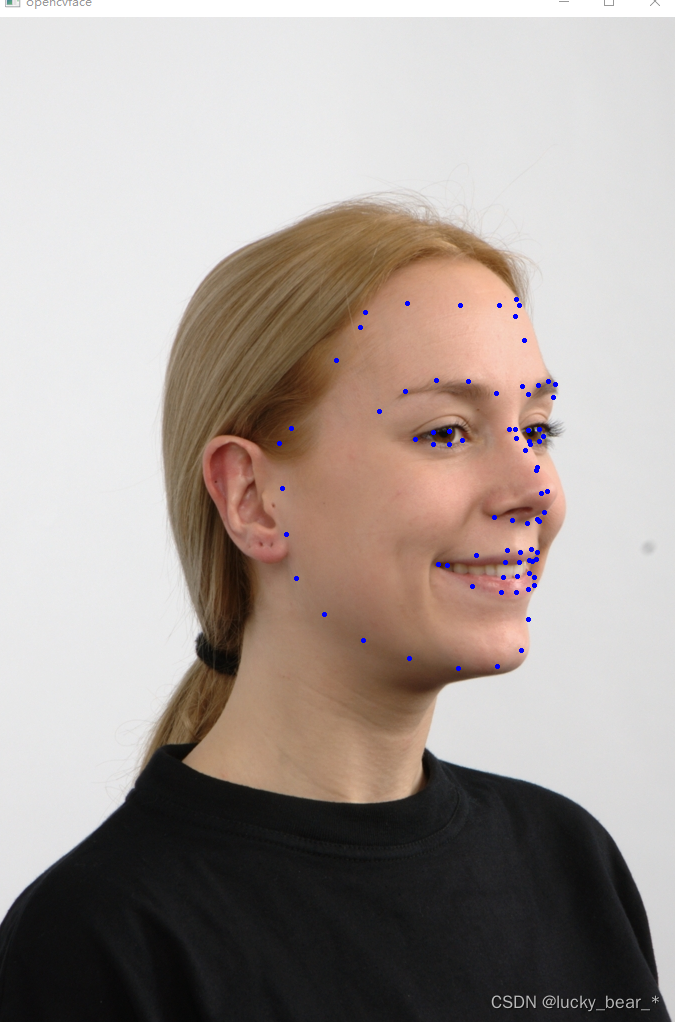 openface在pycharm上的安装