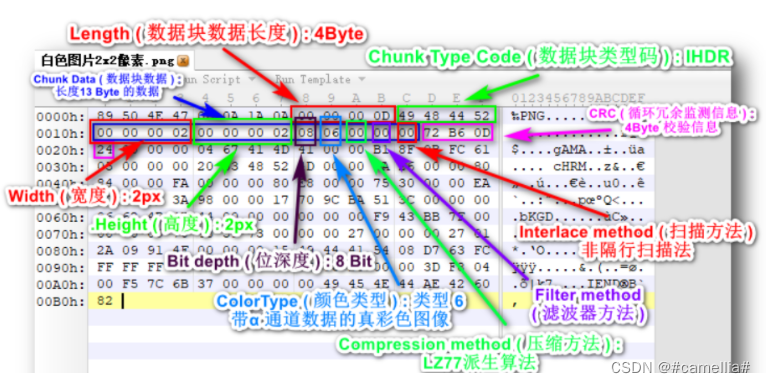 在这里插入图片描述