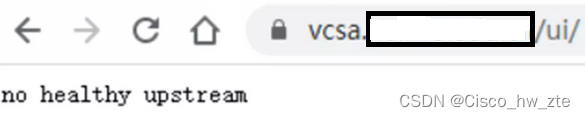 vCenter Server出现no healthy upstream的解决方法
