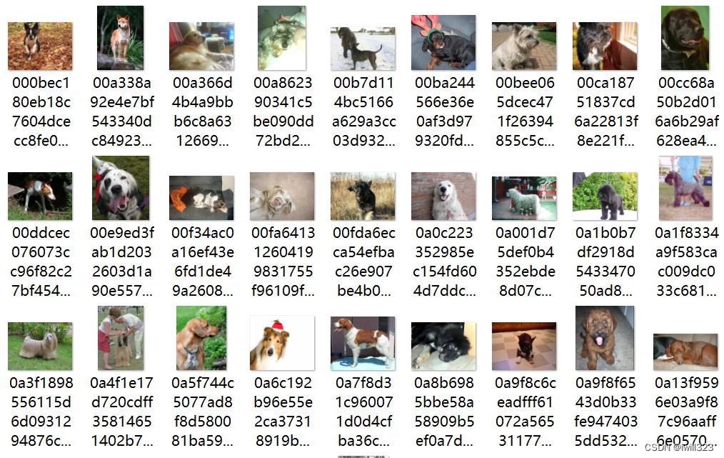 数据集读取与划分，ImageFolder()，自定义数据集，TensorDataset，StratifiedShuffleSplit