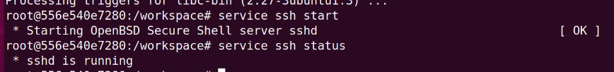 service ssh start