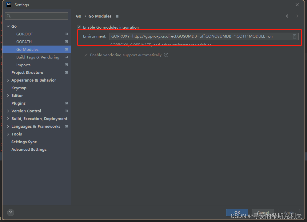 Goland 配置go modules 环境变量