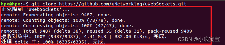 在Ubuntu18.04中安装uWebSockets库