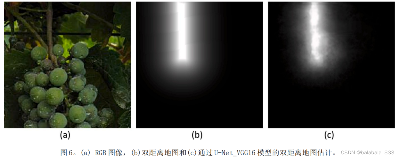 葡萄采摘定位论文汇总(一)_果梗掩膜-CSDN博客