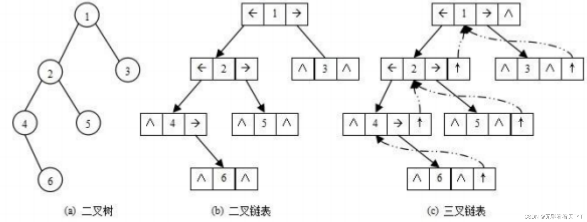 C语言二叉树的基本概念（一）