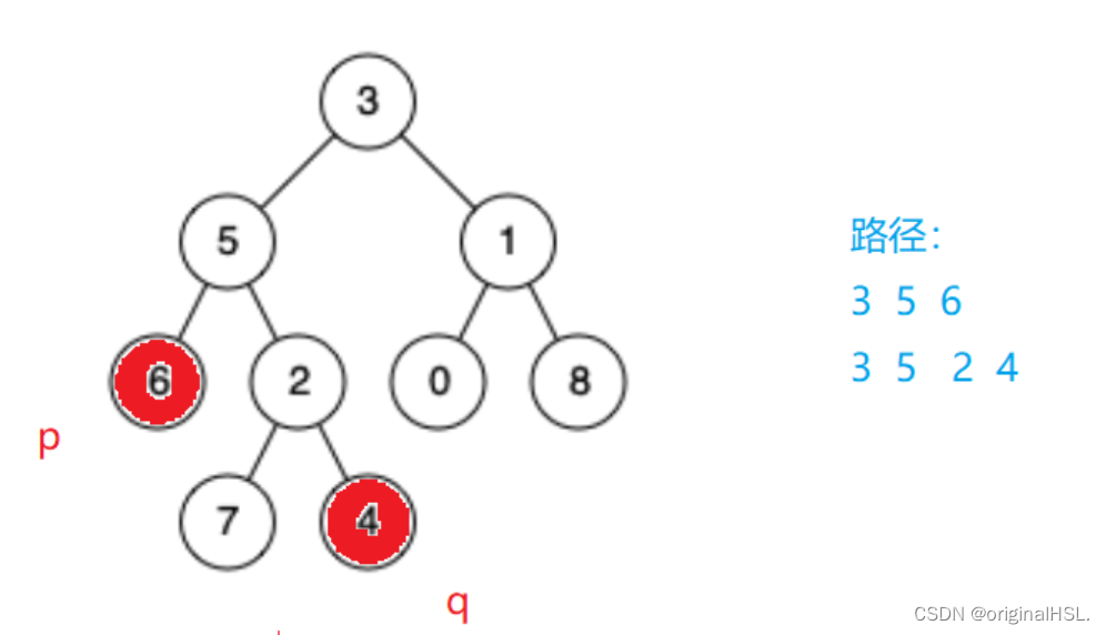 二叉树的最近公共祖先（C++实现）