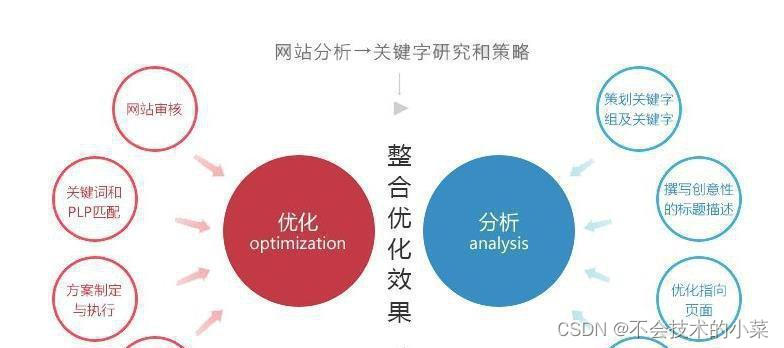 网站排名下降的原因和解决方法（SEO优化失误可能导致网站排名下降）