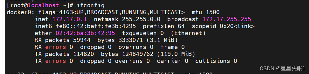 -bash: ifconfig: command not found