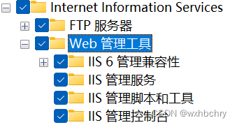 开启 IIS 服务