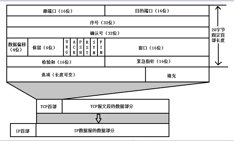 TCP包结构_TCP报文段