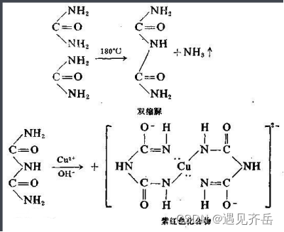 磺胺地索辛-聚乙二醇-卵清蛋白 sulfadimethoxine-PEG-Ovalbumin