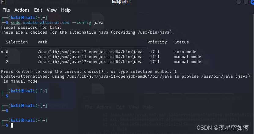 kali linux多版本java共存并自由切换 update-alternatives