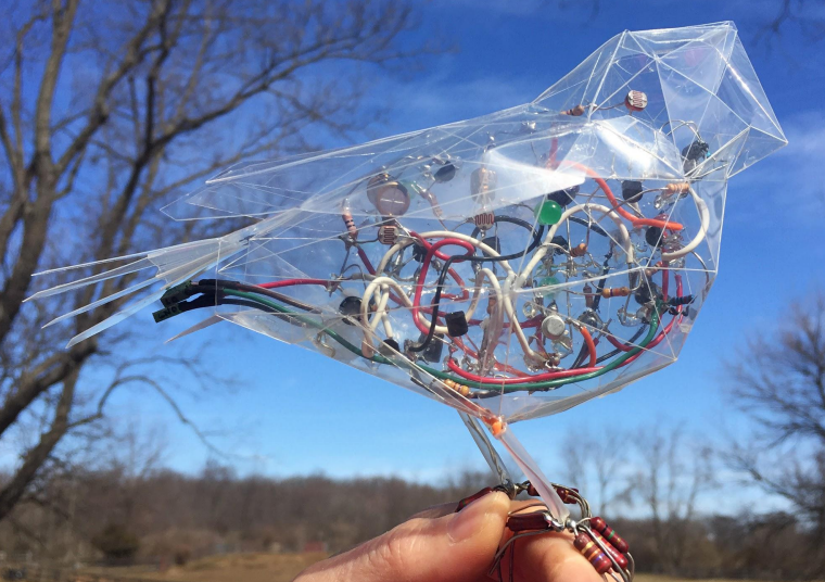 ▲ 图9 自然主义者的电子鸟