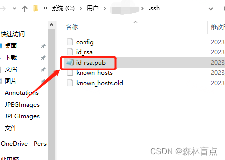 vscode设置远程登录和免密登录