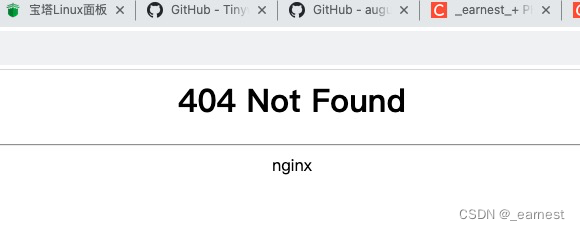 dnmp运行时404报错