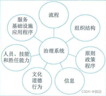 学信息系统项目管理师第4版系列29_信息系统治理