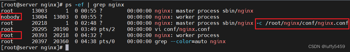 linux上启动两个nginx实例