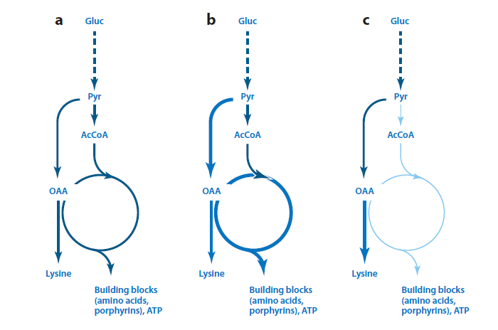 watermark,type_d3F5LXplbmhlaQ,shadow_50,text_Q1NETiBARUJMX0NBUw==,size_20,color_FFFFFF,t_70,g_se,x_16