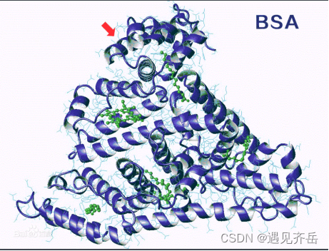 木聚糖聚乙二醇牛血清白蛋白bsapegxylan牛血清白蛋白peg木聚糖