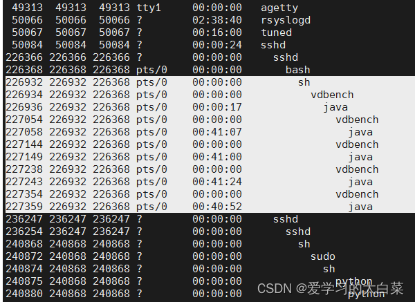 清理vdbench后台进程