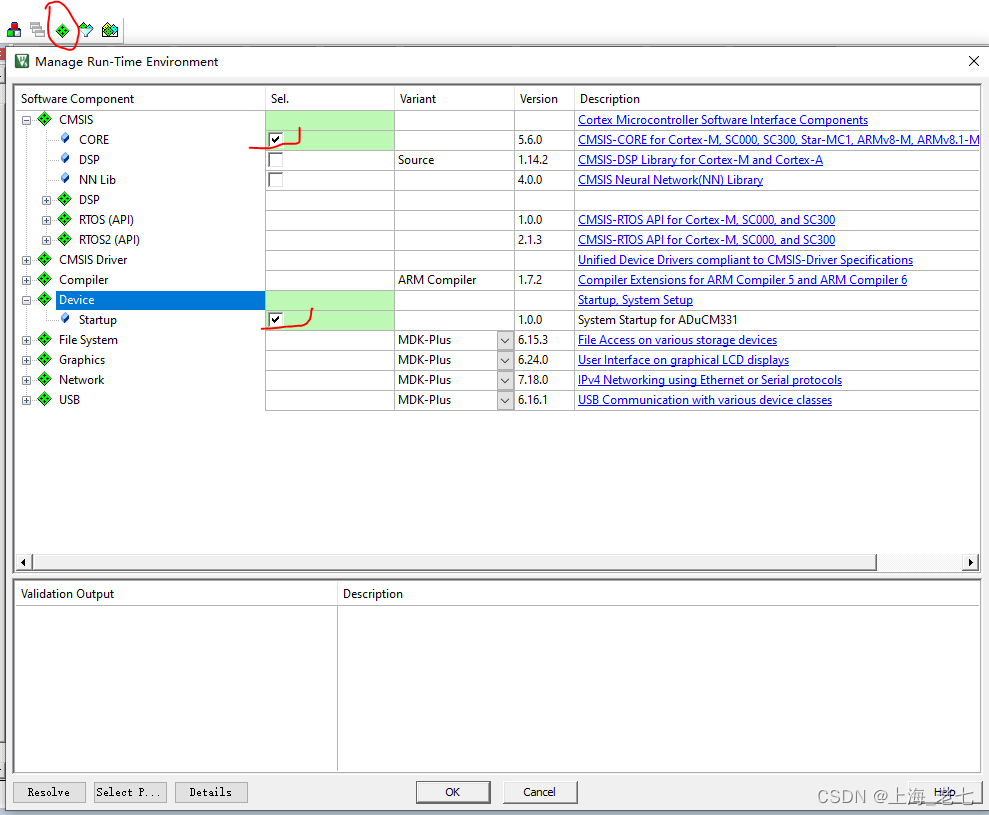 Manage Run-Time Environment设置