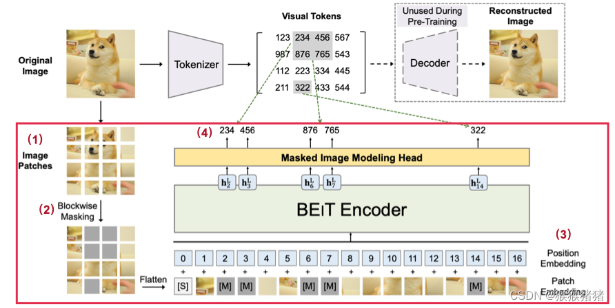 BLIP model