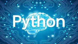 Python 实践