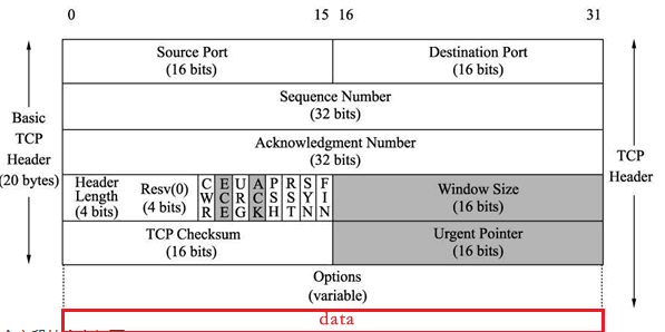 TCP/IP报文学习_tcp以太网帧格式-CSDN博客