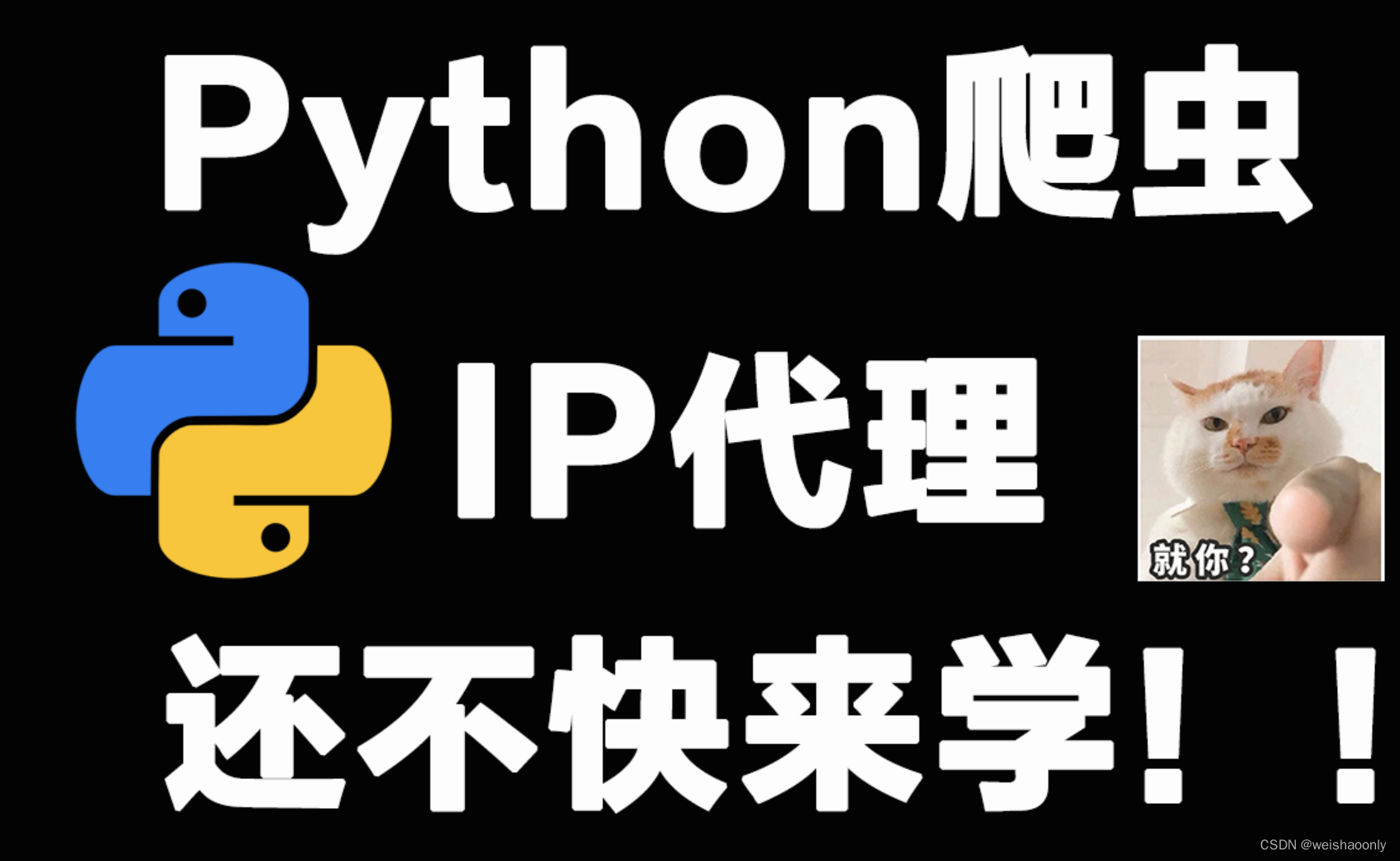 【Python Cookie 和代理 IP】零基础也能轻松掌握的学习路线与参考资料