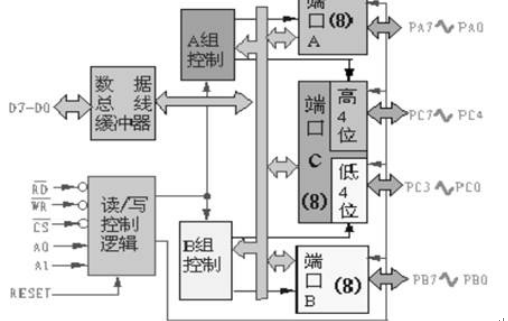 7段数码管显示电路_单片机控制数码管显示实验