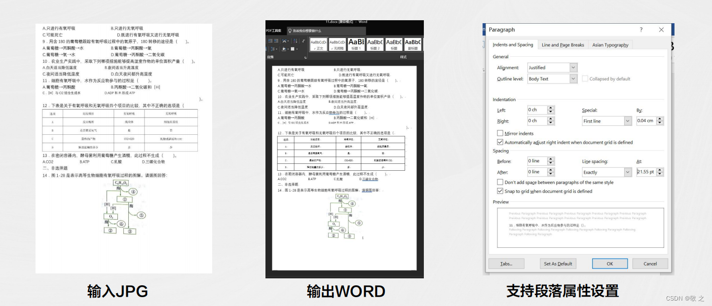 智能文档图像处理技术应用与实践