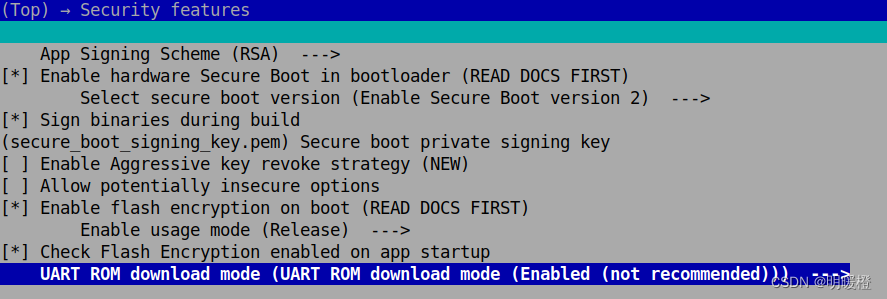 ESP32-C3 手动启用 Secure Boot V2 与 Flash 加密流程