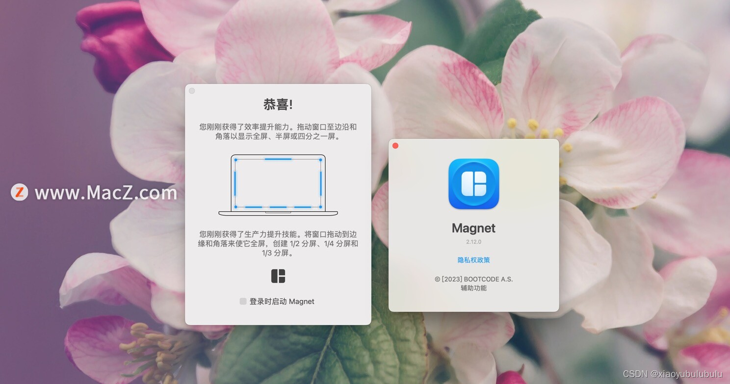 Mac电脑窗口管理Magnet中文 for mac