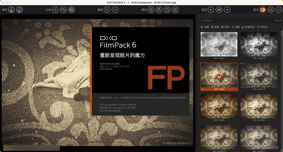 照片后期处理软件DxO FilmPack 6 mac中文说明
