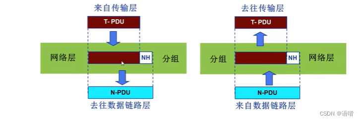 网络层