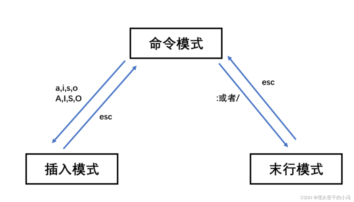 LINUX 文件基本管理