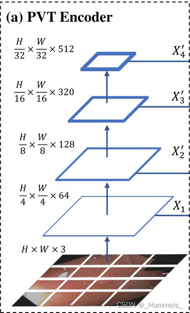 图2 PVT特征提取器
