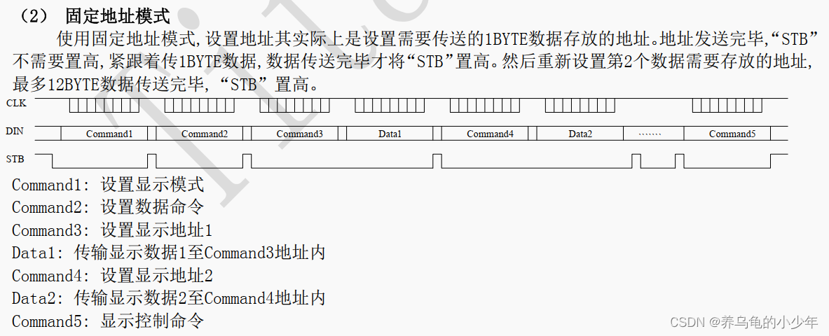 STM32实战项目-数码管