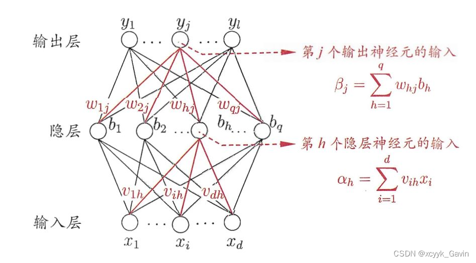 BP网络基础架构