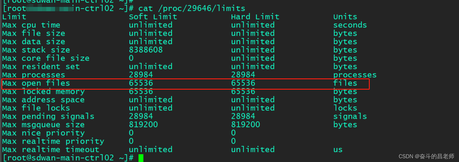 使用supervisor启动进程open files too many问题