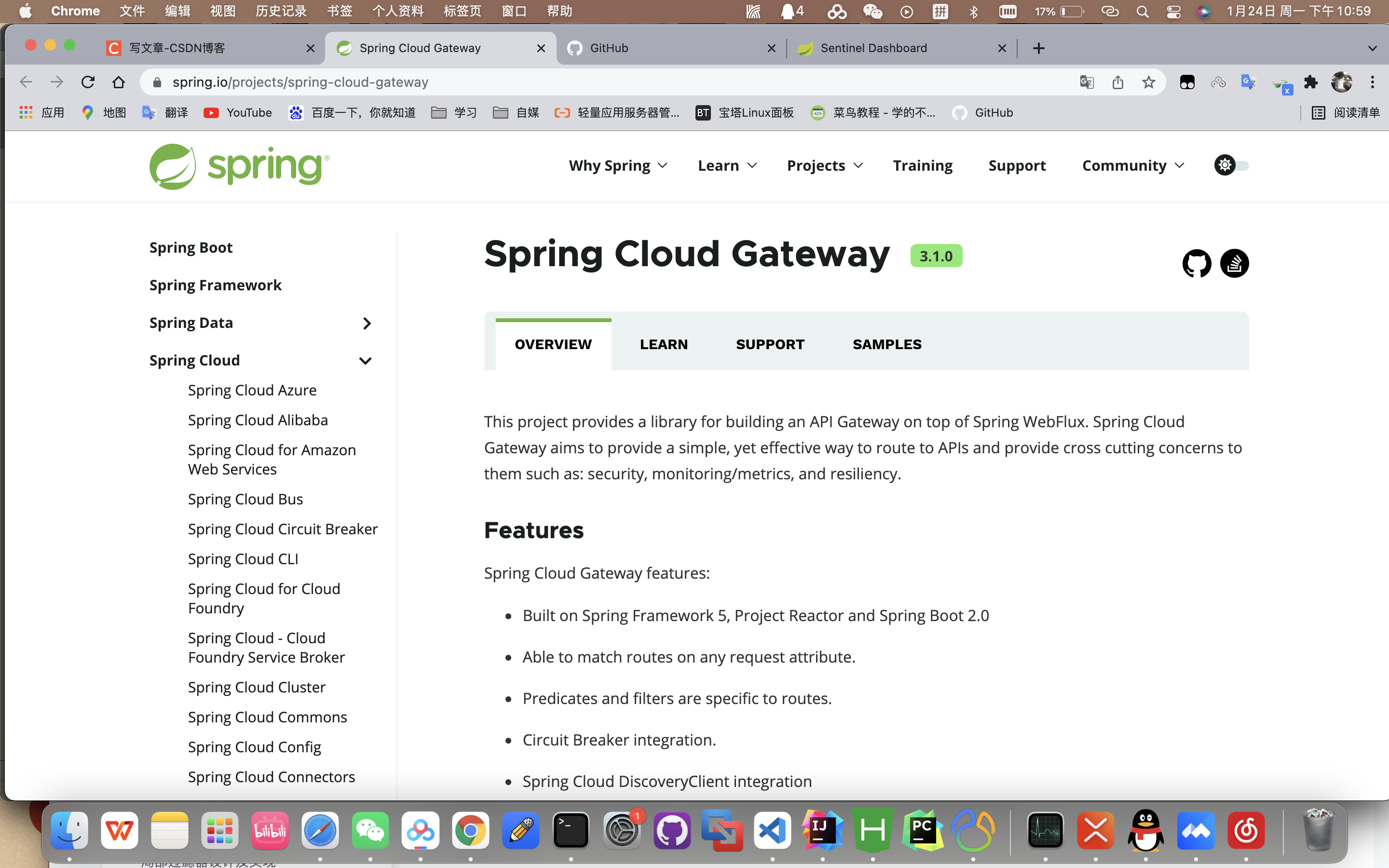 一篇就看懂：SpringCloud网关 - GateWay详解_spring Cloud Gateway X-request-id-CSDN博客