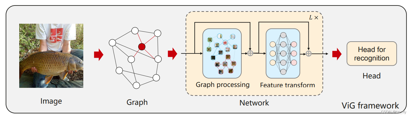 fig1