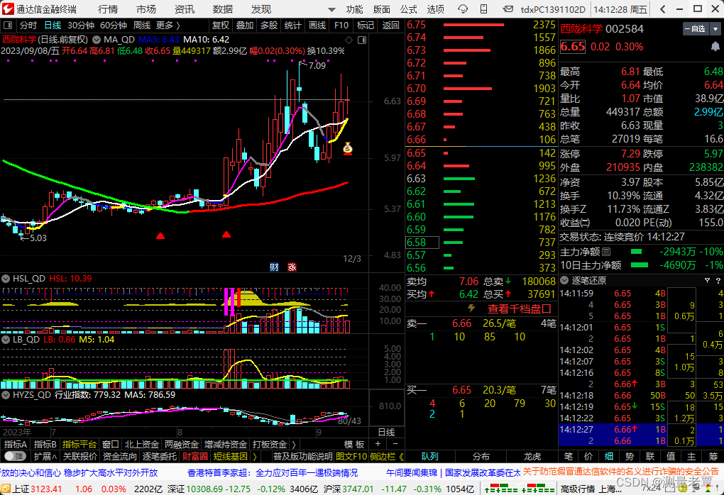 通达信自定义副图换手率指标 HSL_QD