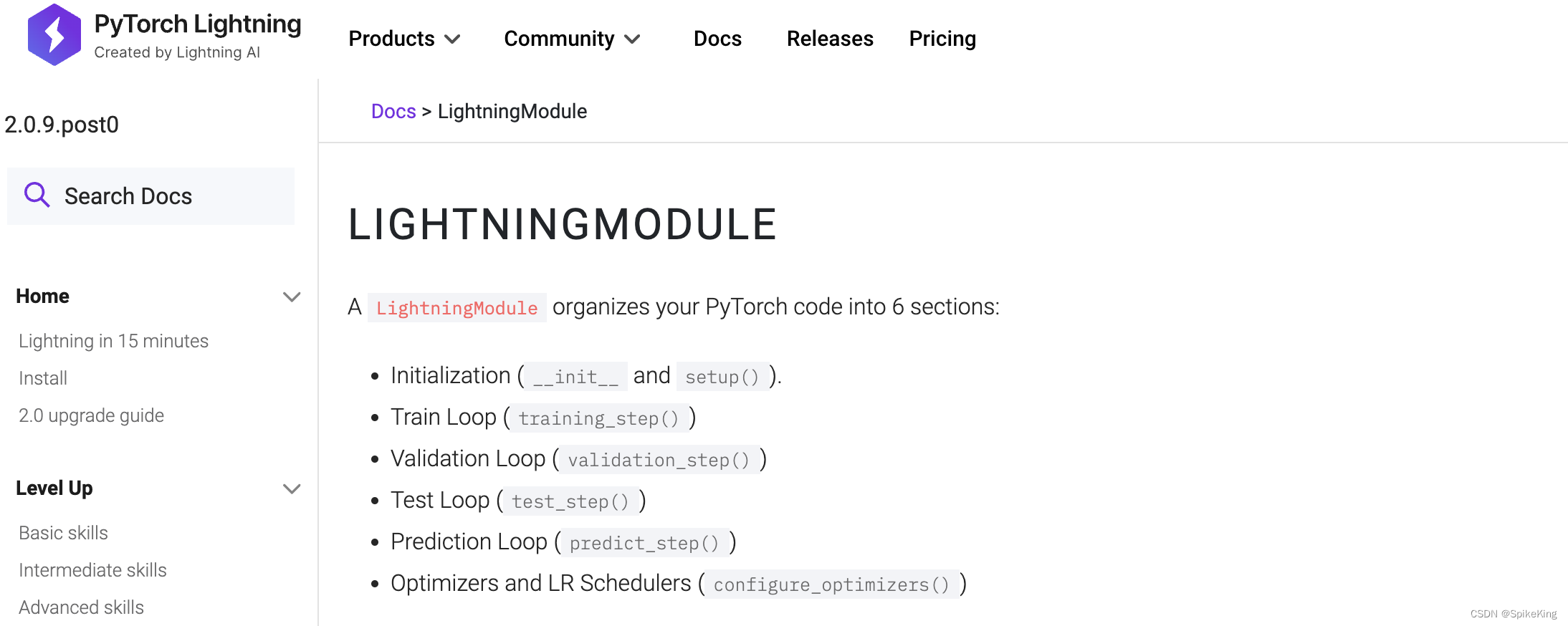 LightningModule