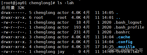 关于Linux文件权限rwx的通俗解释_rwxozft-CSDN博客
