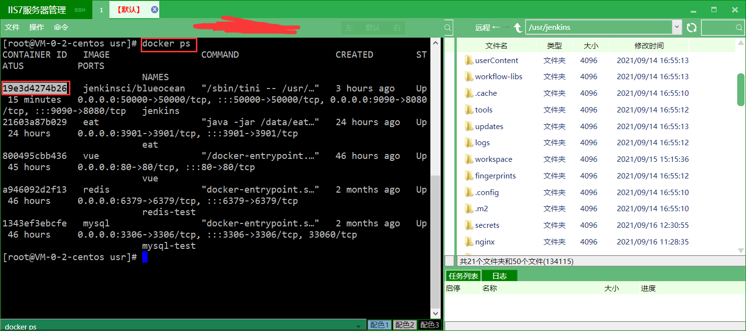 在这里插入图片描述